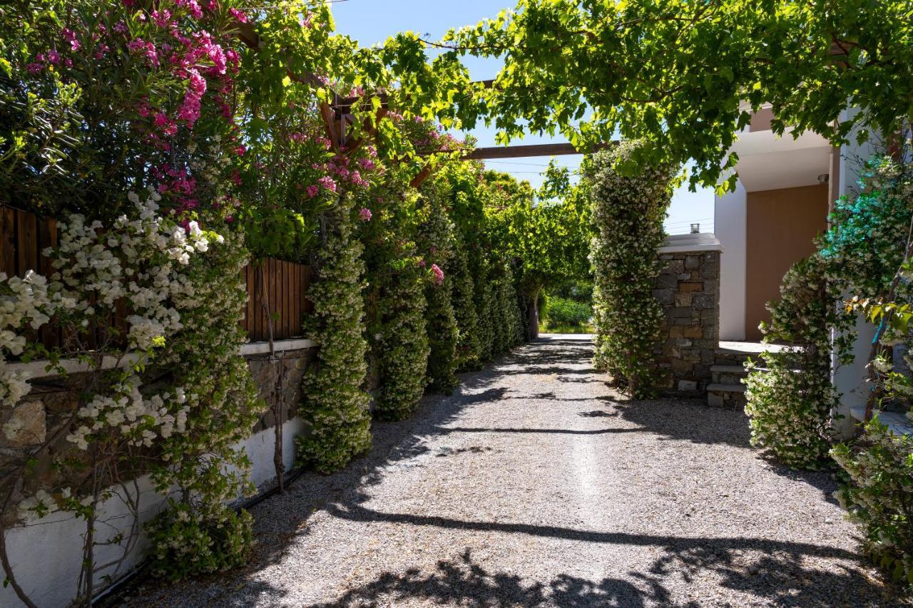 Horizon Line Villas Kiotári Kültér fotó